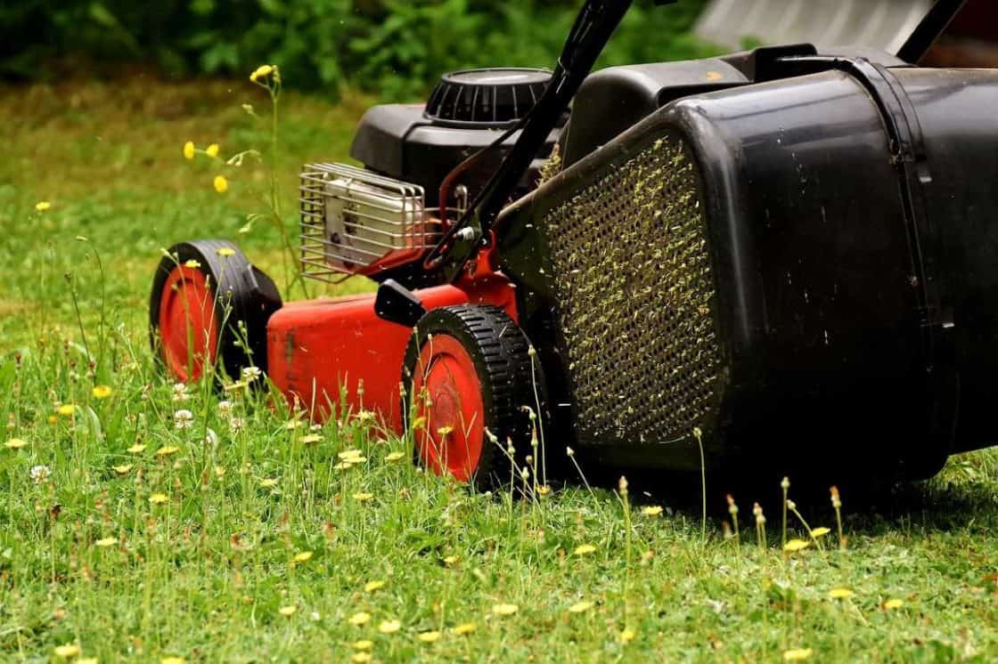 Picking The Most Suitable Lawn Mower For Your Yard